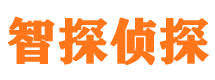 环翠寻人公司